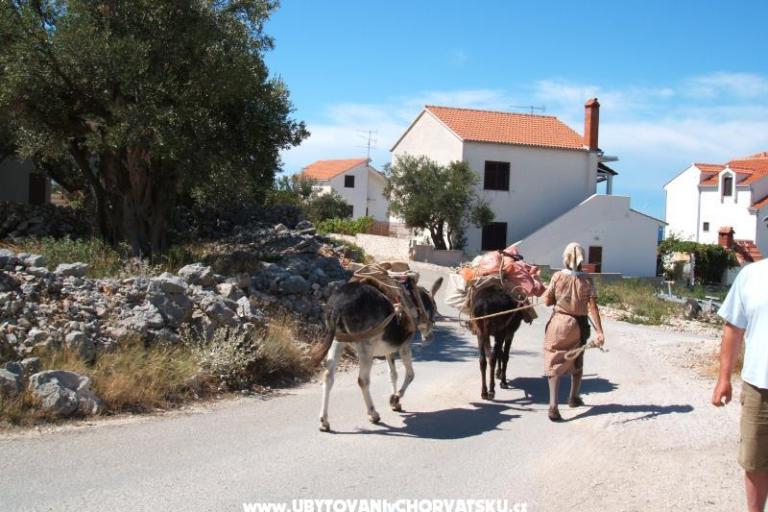 Apartmanok Bačić – fotó 17