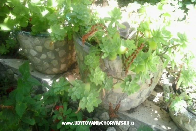 Apartmanok Baković – fotó 6