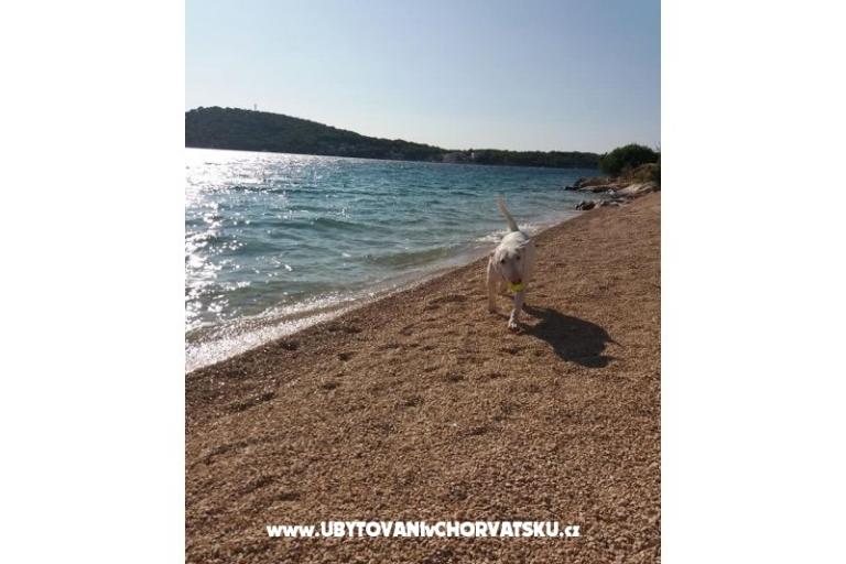 Apartmanok Bebe – fotó 21