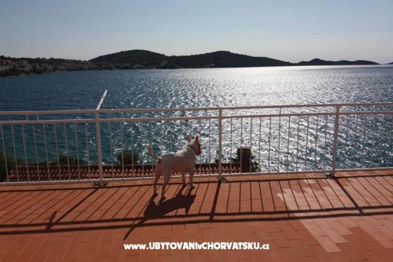 Apartmanok Bebe – fotó 5