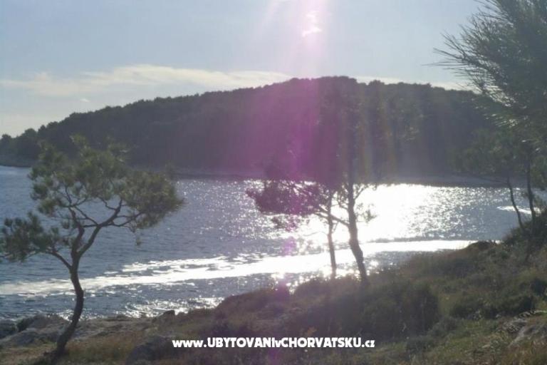 Apartmanok Domino – fotó 6