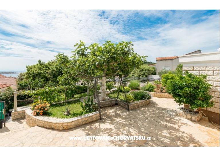 Apartmanok Iva – fotó 2