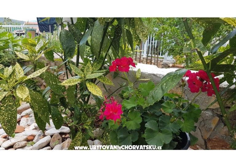 Apartmanok Mijo – fotó 12
