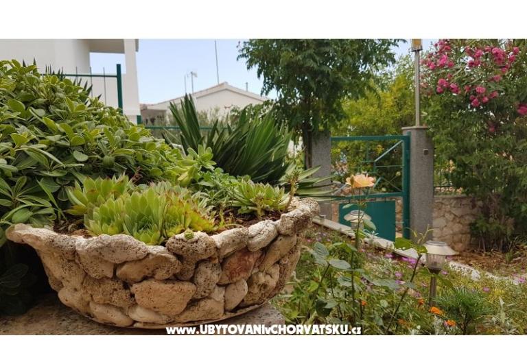 Apartmanok Mijo – fotó 13