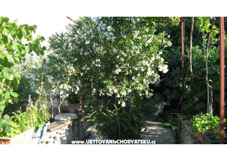 Apartmanok Miki – fotó 8