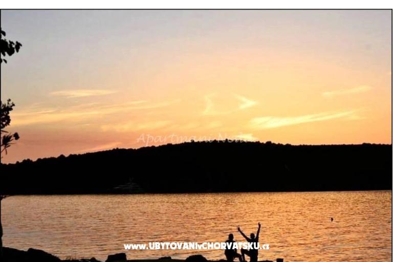 Apartmanok Neda,Kanica – fotó 10