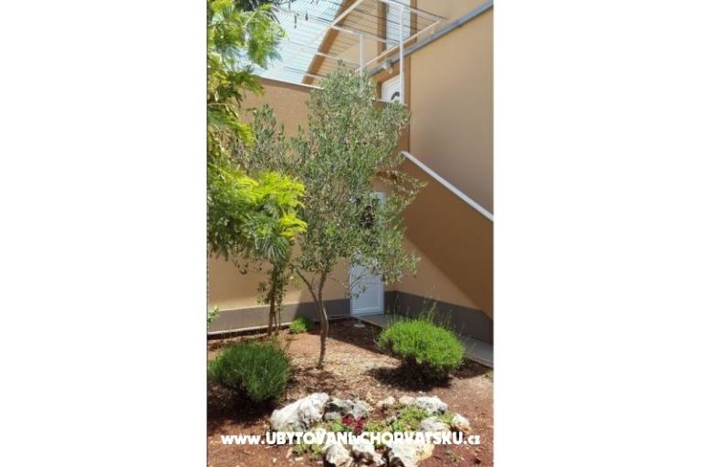 Apartmanok Pejo – fotó 4