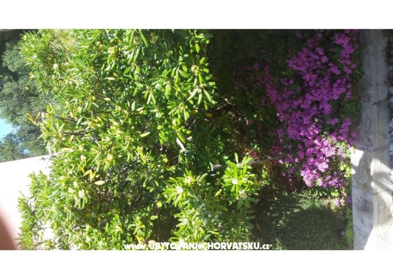 Apartmanok Perak – fotó 10