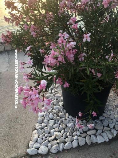 Apartmanok Ruža – fotó 28