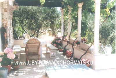 Apartmanok Tihana – fotó 8