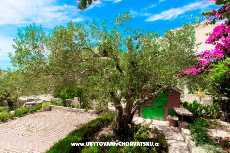 Apartmanok Venci – fotó 5