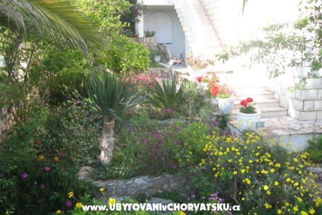Villa Jozo Apartmanok – fotó 5