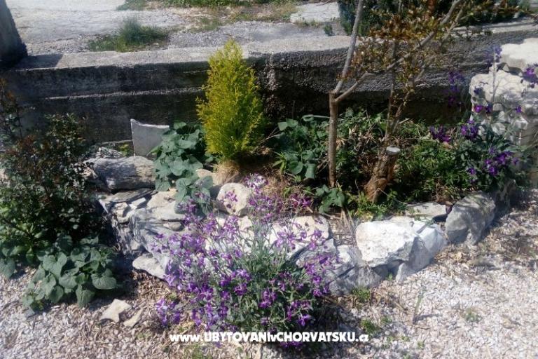 Apartmanok Ercegovic – fotó 4