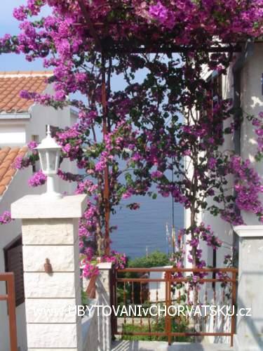 Apartmanok Lucija – fotó 4