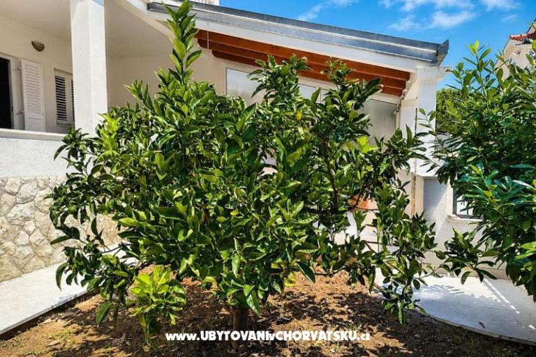 Apartman Luna – fotó 11
