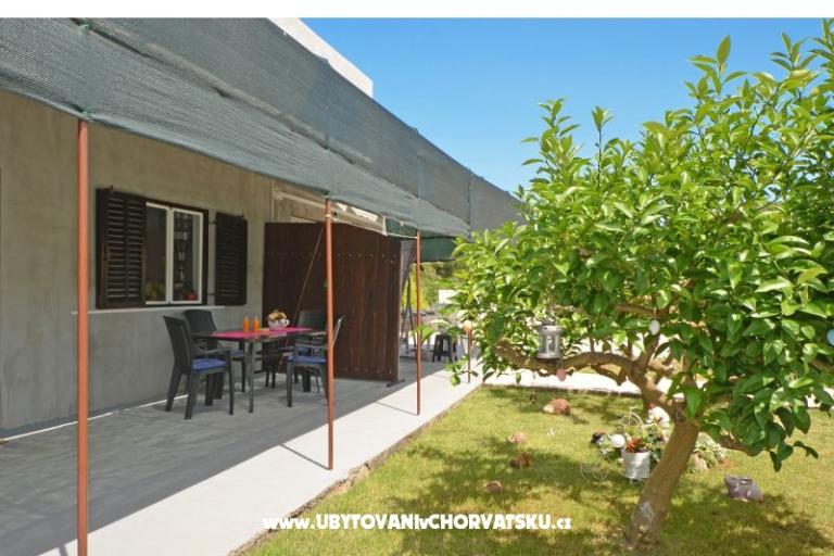 Apartmanok Caleta – fotó 17