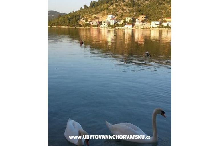 Apartmanok Captain`s house – fotó 18