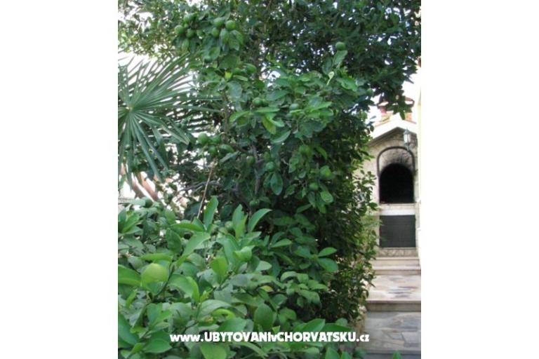 Apartmanok Villa Milakovic – fotó 4