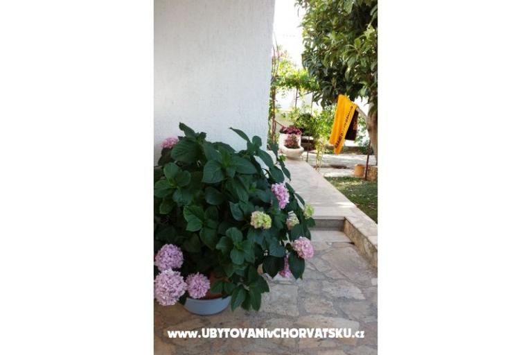 Apartmanok Ursula – fotó 14