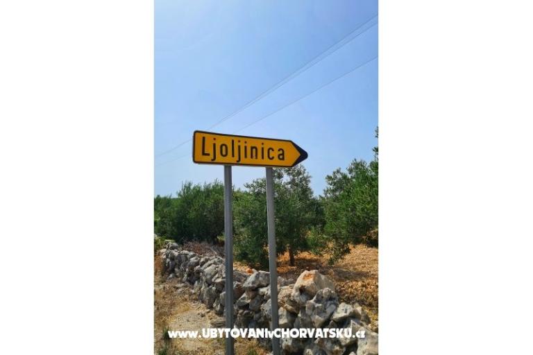 Holiday Apartmanok Lucic – fotó 103