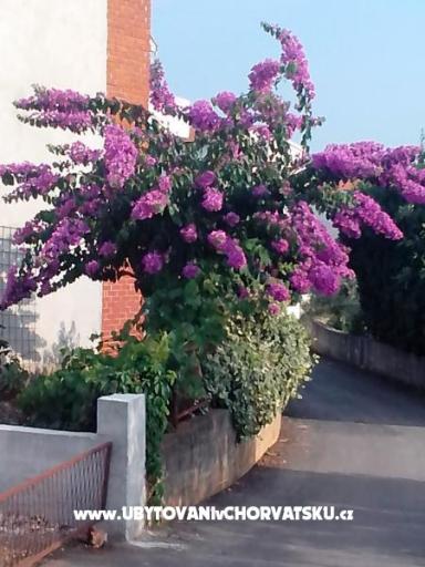 Matanovi dvori – fotó 7
