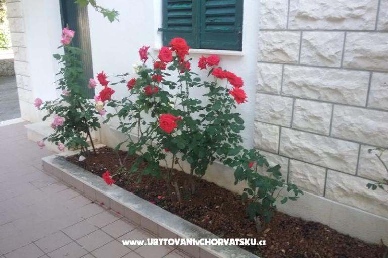 Santa Chiara Apartmanok – fotó 12