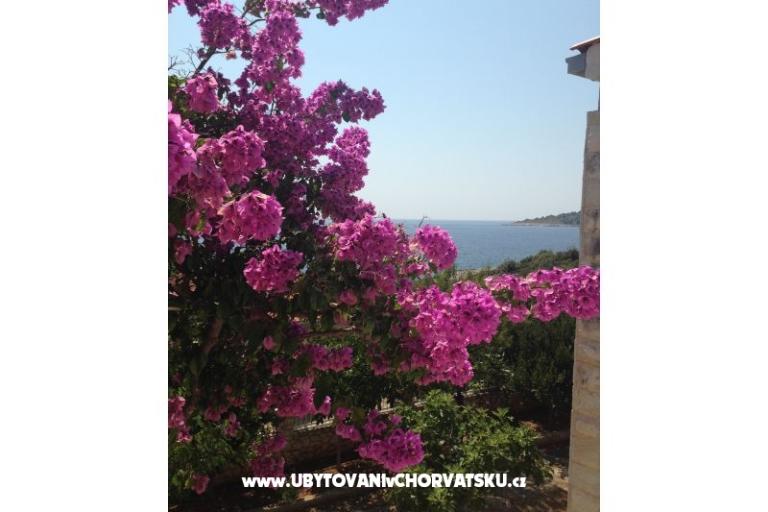Vesna apartmani – fotó 10