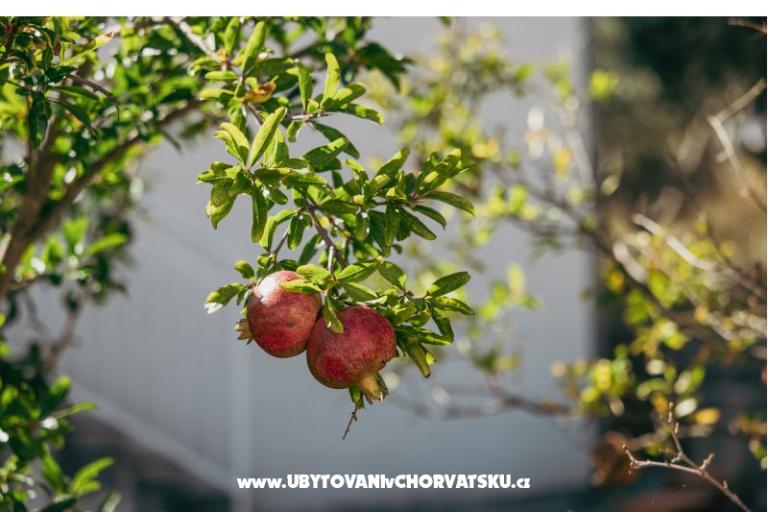 Apartmanok Vidović – fotó 4