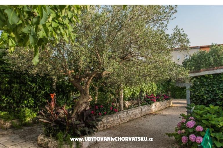 Villa Perla – fotó 10