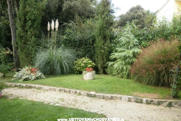 Apartmanok Ana – fotó 14