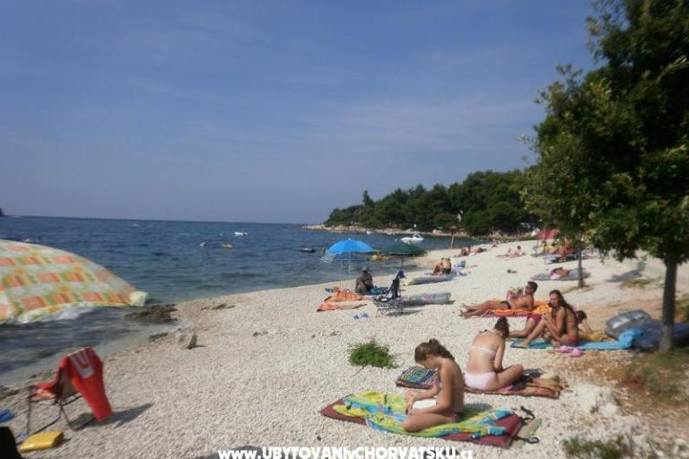 Apartmanok Ana – fotó 16