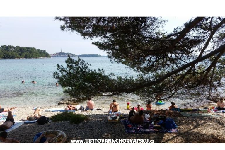 Apartmanok Ana – fotó 18