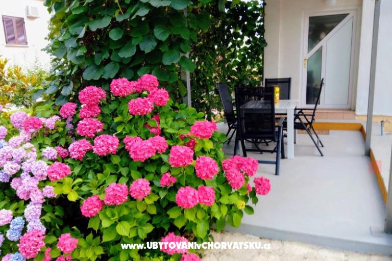 Apartmanok i Szobák Markovic – fotó 9