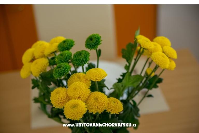 Apartmanok Nada – fotó 15
