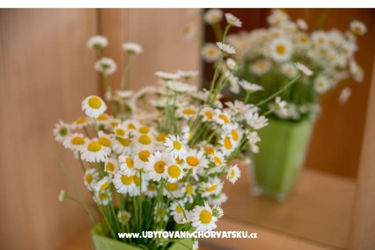 Apartmanok Nada – fotó 17