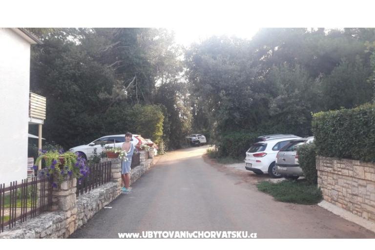 Apartmanok Samsa – fotó 20
