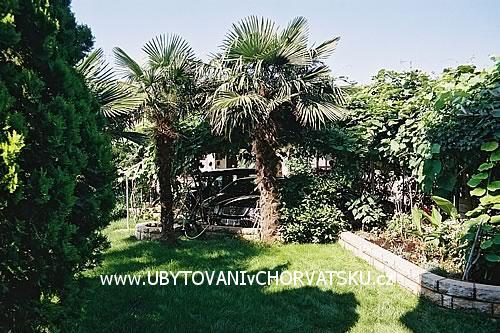 Apartmanok BOS-KO – fotó 3