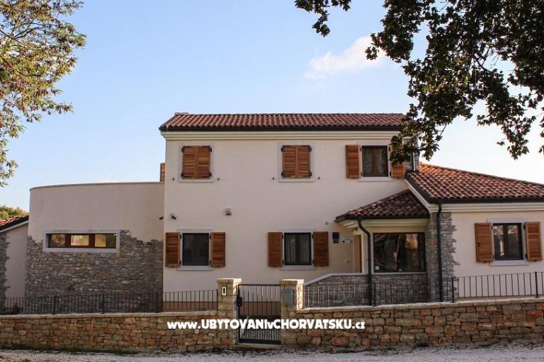 Arton Vila – fotó 8