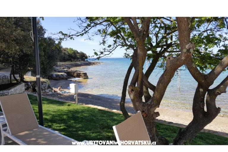 Holiday Istria stone house - app. – fotó 6