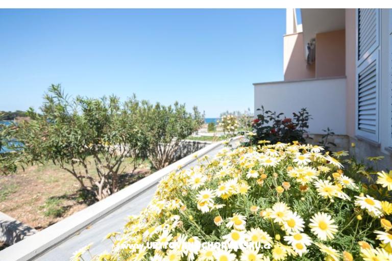 Apartmanok Carić – fotó 6
