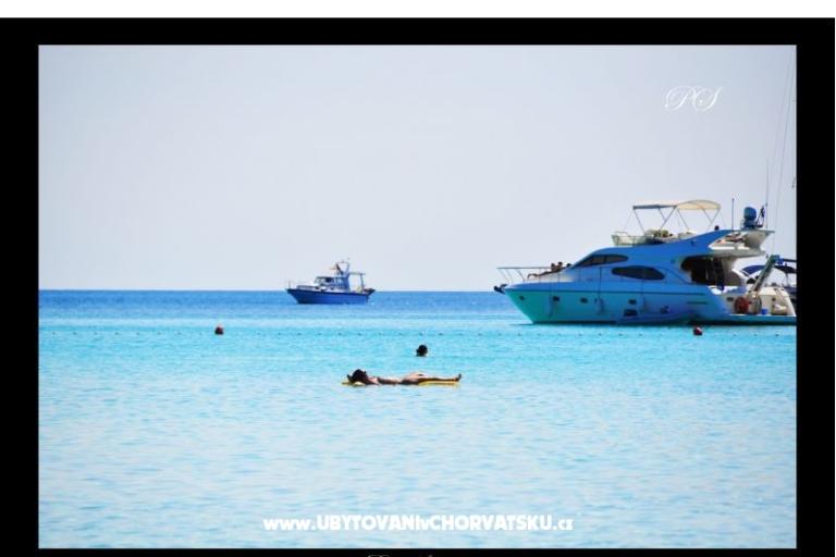 Apartmanok  Zaglav Dugi otok  – fotó 12