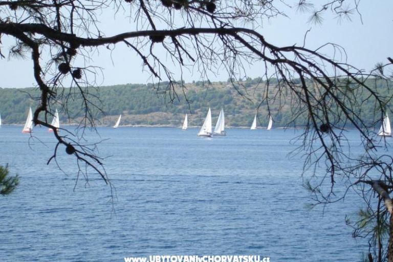 Apartmanok - Otok Lavdara – fotó 5