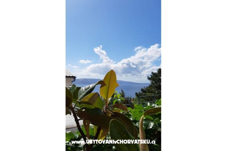 Apartmanok  MaDi  – fotó 8