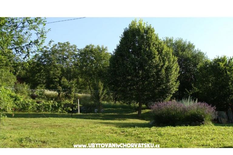 Vakáció Biserka – fotó 7