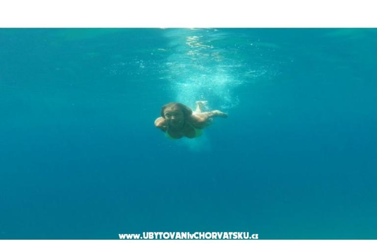 Renata – fotó 16