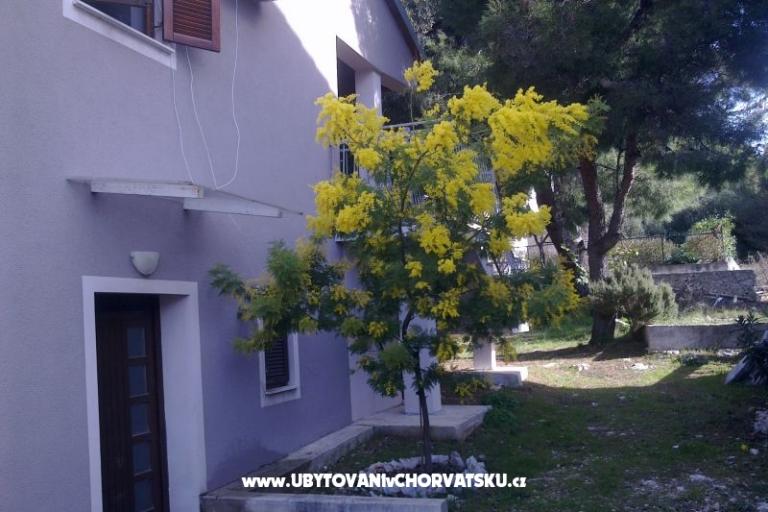 Apartman Katarina – fotó 8