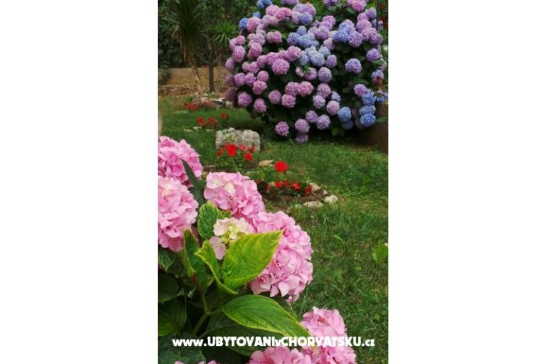 Apartman Tomić – fotó 9