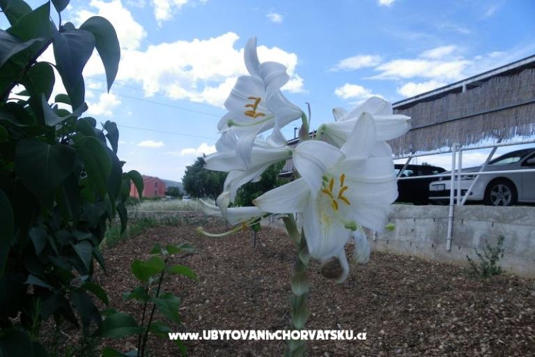 Apartmanok Ante-Gojko – fotó 11