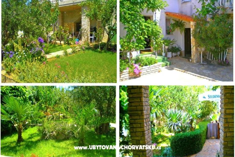 Apartmanok Antić – fotó 14