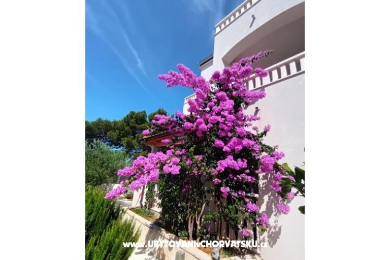 Apartmanok Pinea Sol – fotó 3